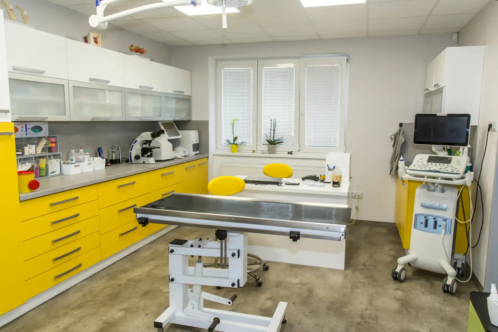 Ordinace s ultrazvukem a laboratoří
