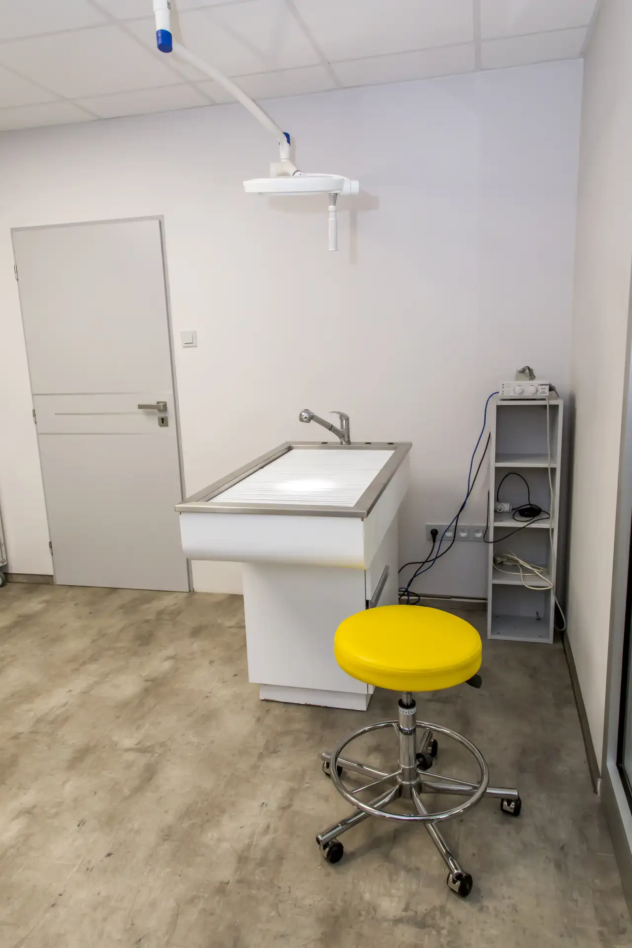 Veterinární stomatologie